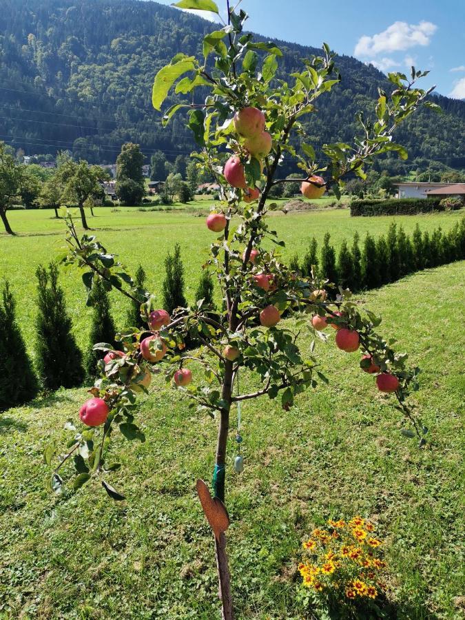 Apartment - Ferienwohnung 1 Treffen Am Ossiachersee Экстерьер фото
